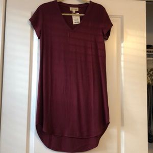 Cloth and stone shift dress